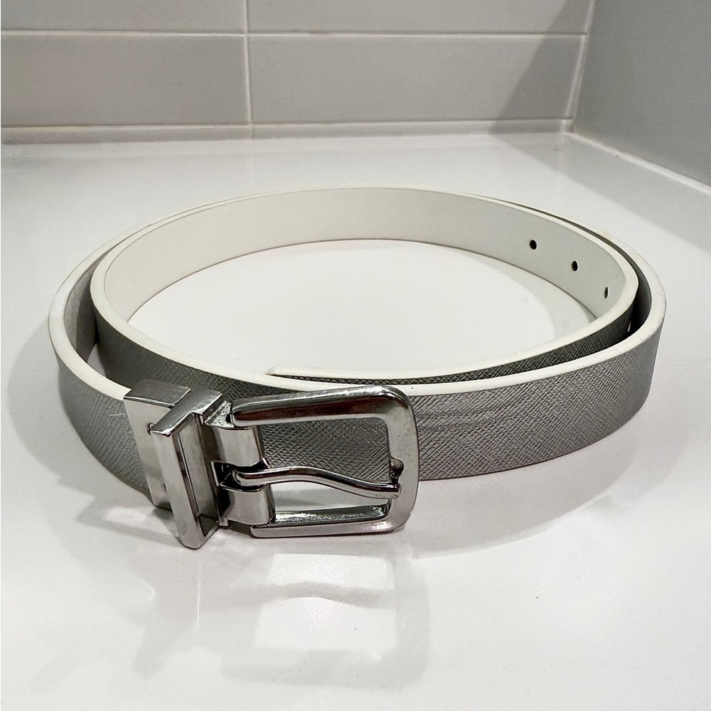 Shiny Silver Belt